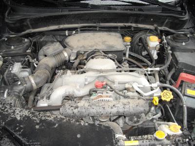 What You Need to Know About Car Engine Steam Cleaning